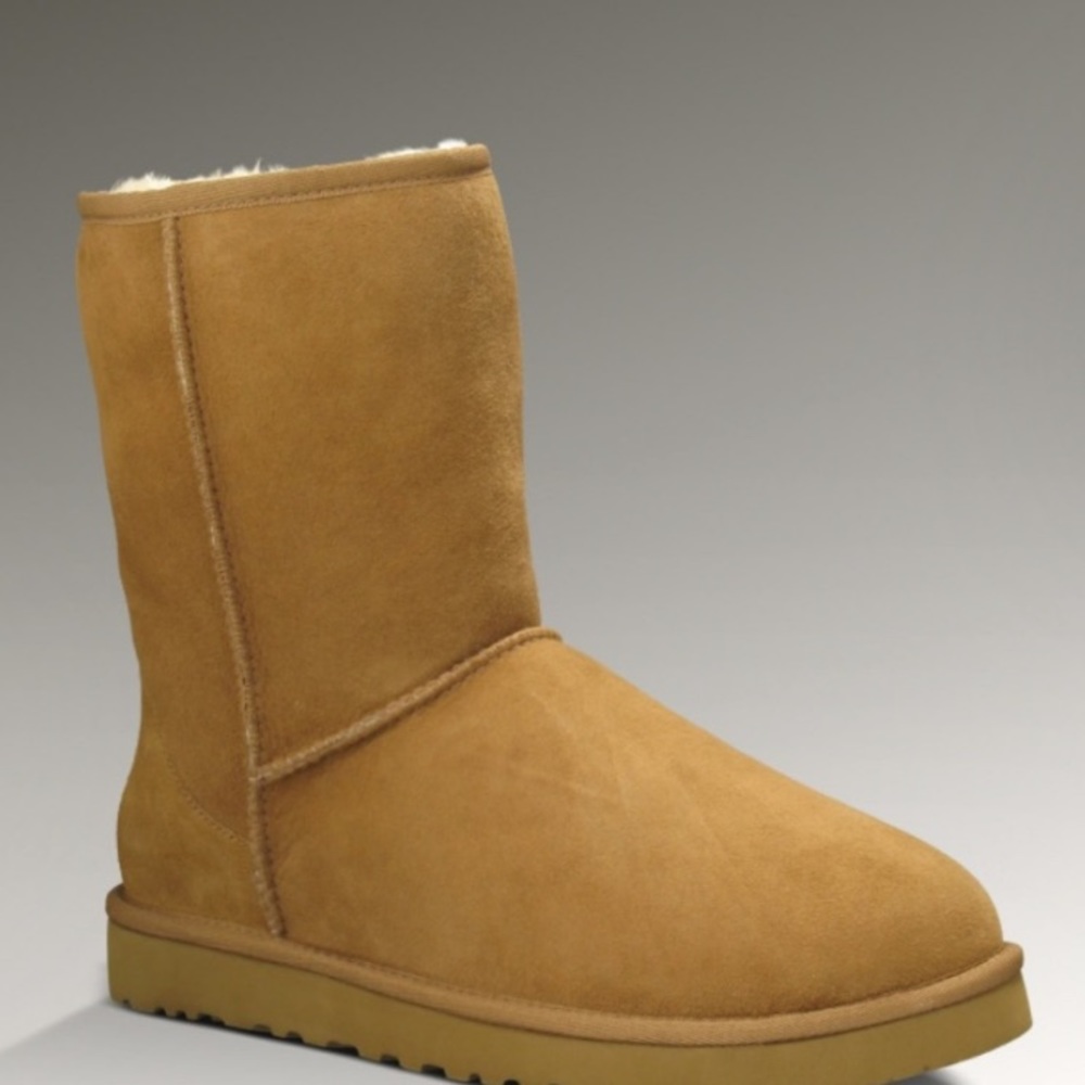 Amazing condition chestnut classic UGG boots